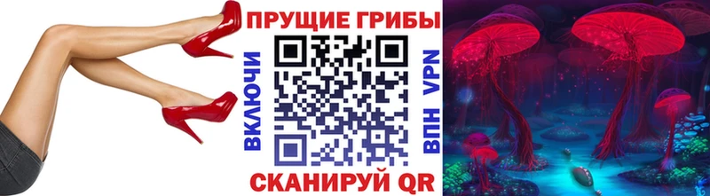 купить  сайты  Ахтубинск  Псилоцибиновые грибы мицелий 